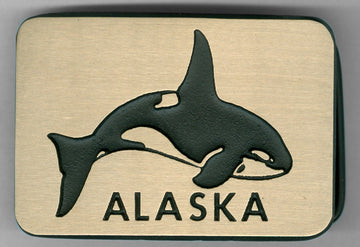 Alaska Orca